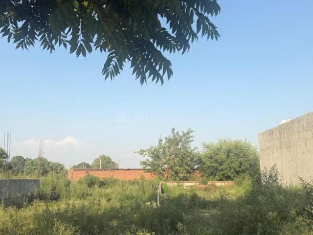 Residential Plot in Sector 123 for resale Mohali. The reference number is 20950583