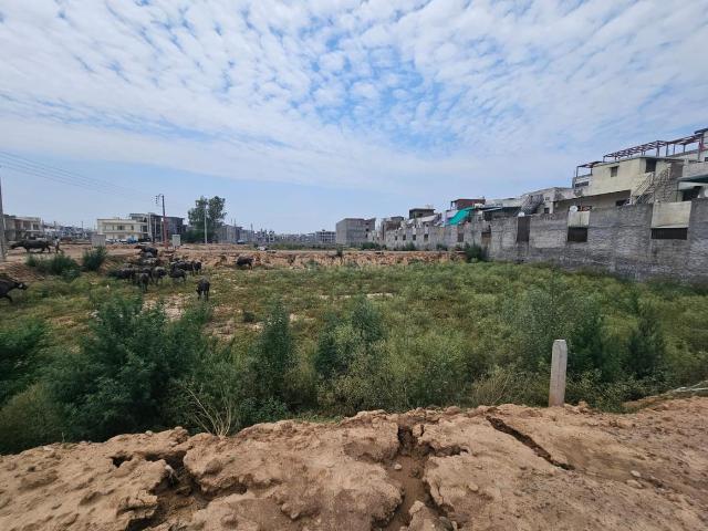 Residential Plot in Sector 123 for resale Mohali. The reference number is 20962171