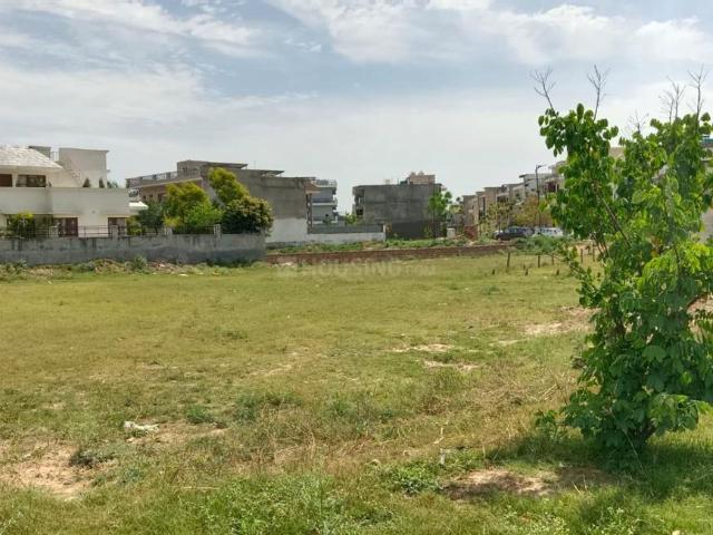 Residential Plot in Sector 123 for resale Mohali. The reference number is 20287625