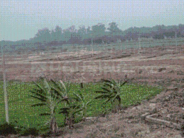 Residential Plot in Sector 123 for resale Mohali. The reference number is 20323625