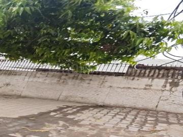 Residential Plot in Sector 12 for resale Gurgaon. The reference number is 20406431