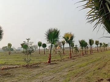 Noida, Gautam Buddha Nagar District, Delhi
