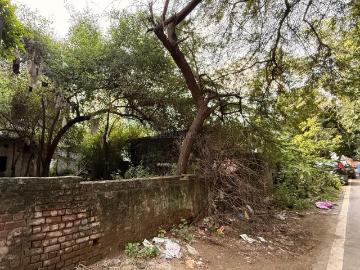 Sector 17, Gandhinagar Gujarat, Gandhinagar District, Gujarat