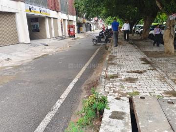 Residential Plot in Sector 17 Dwarka for resale New Delhi. The reference number is 20532373