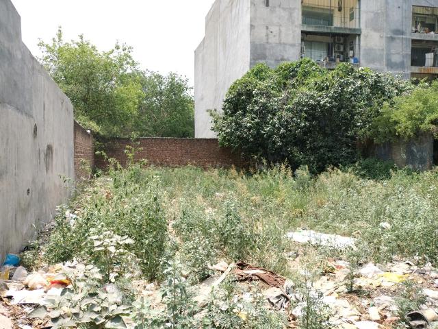 Residential Plot in Sector 17 Dwarka for resale New Delhi. The reference number is 20085182