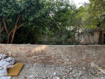Sector 17, Gandhinagar Gujarat, Gandhinagar District, Gujarat
