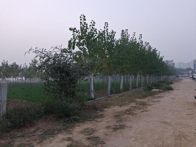 Residential Plot in Sector 144 for resale Noida. The reference number is 15000194