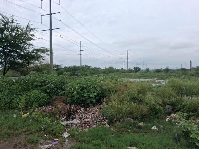 Residential Plot in Sector 145 for resale Noida. The reference number is 19908680