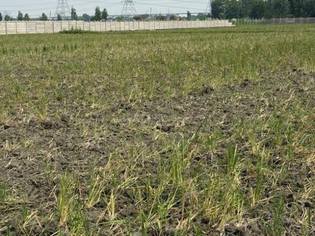 Residential Plot in Sector 148 for resale Noida. The reference number is 19491093
