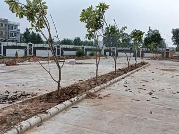 Land for sale in Panchkula District - Garden