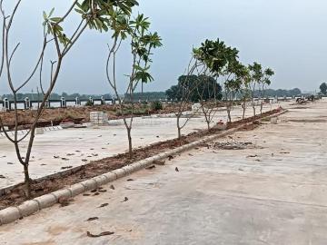 Residential Plot in Sector 14 for resale Panchkula. The reference number is 20111672