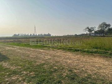 Residential Plot in Sector 14 for resale Panchkula. The reference number is 20301241
