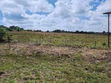 Residential Plot in Sector 14 for resale Panchkula. The reference number is 20527450