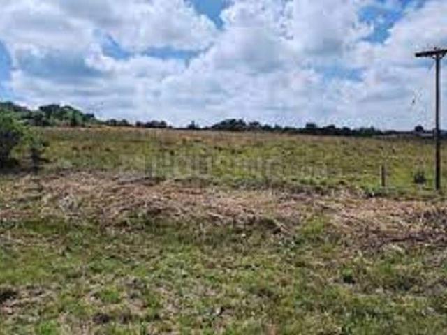 Residential Plot in Sector 14 for resale Panchkula. The reference number is 20527450