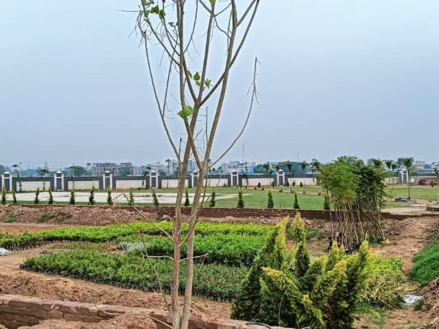 Residential Plot in Sector 14 for resale Panchkula. The reference number is 20869597