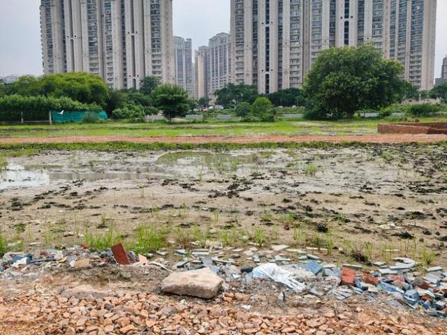 Residential Plot in Sector 150 for resale Noida. The reference number is 20987178