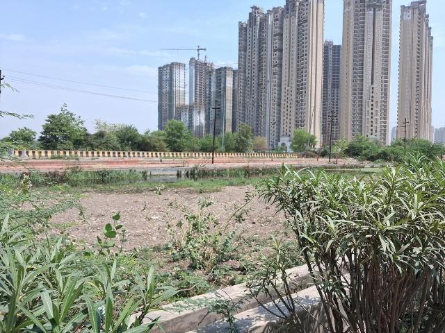 Residential Plot in Sector 151 for resale Noida. The reference number is 19876314