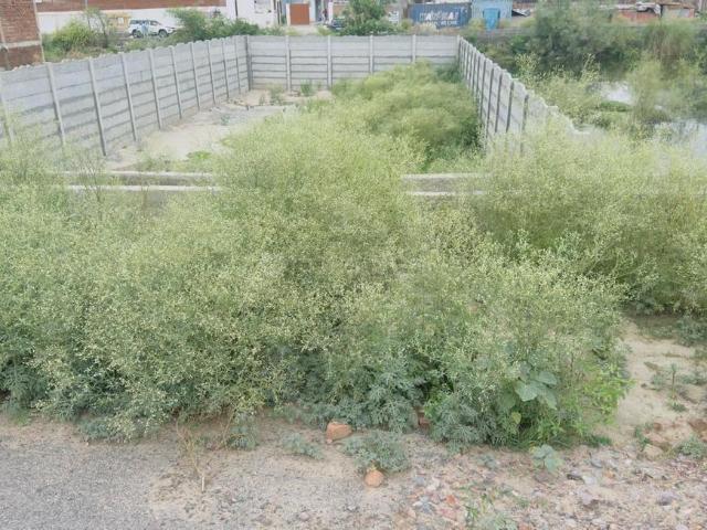 Residential Plot in Sector 151 for resale Noida. The reference number is 21105375