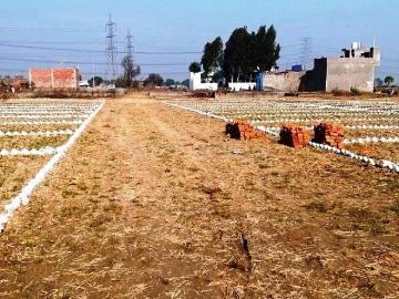 Noida, Gautam Buddha Nagar District, Delhi