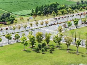 Residential Plot in Sector 16 for resale Panchkula. The reference number is 20120208