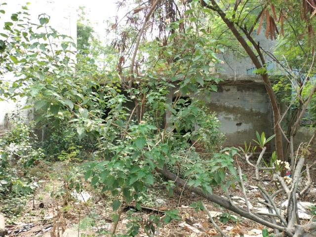 Residential Plot in Sector 19 Dwarka for resale New Delhi. The reference number is 20614221