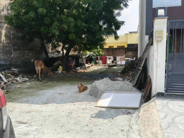 Residential Plot in Sector 19 for resale Faridabad. The reference number is 20989987