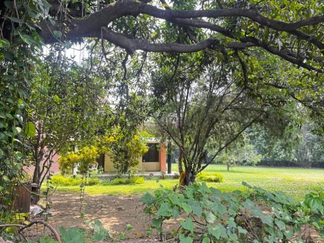 Residential Plot in Sector 1 for resale Solan. The reference number is 21022570