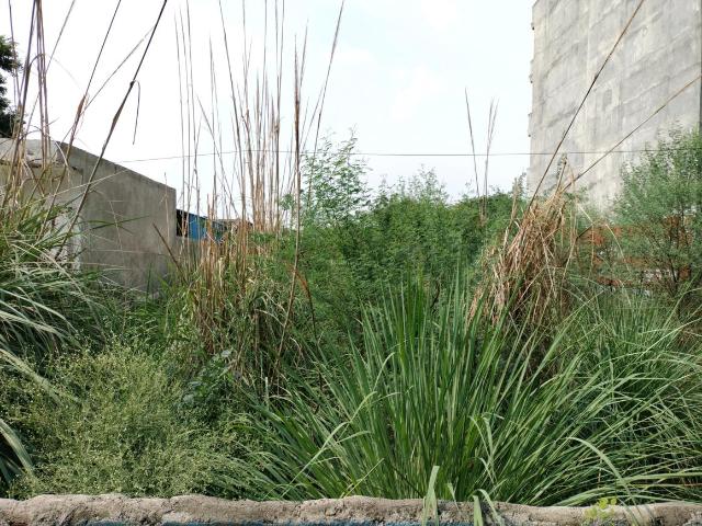 Residential Plot in Sector 23B Dwarka for resale New Delhi. The reference number is 20636768