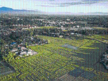 Sector-35 Rohtak, Rohtak District, Haryana State