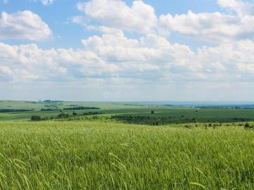 Sector-35 Rohtak, Rohtak District, Haryana State