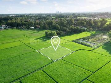 Sector-35 Rohtak, Rohtak District, Haryana State