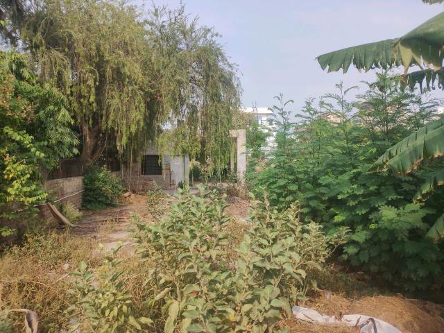 Residential Plot in Sector 21B for resale Faridabad. The reference number is 19323496