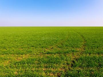 Sector-35 Rohtak, Rohtak District, Haryana State