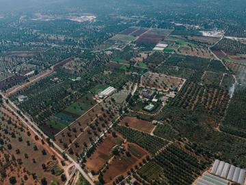 Sector-35 Rohtak, Rohtak District, Haryana State