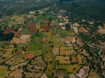 Sector-35 Rohtak, Rohtak District, Haryana State