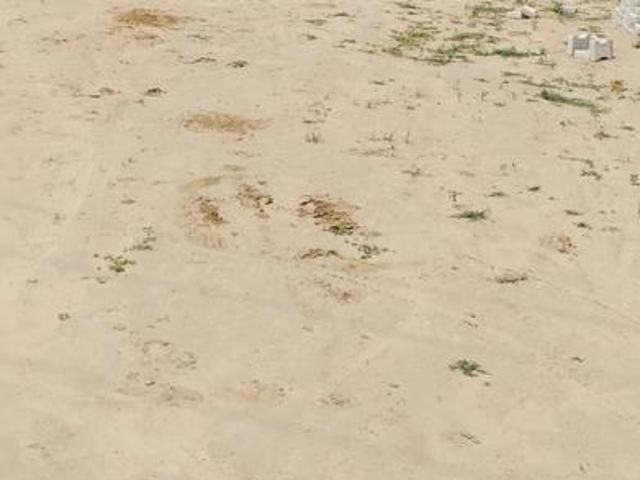 Residential Plot in Sector 22B for resale Greater Noida. The reference number is 20824896
