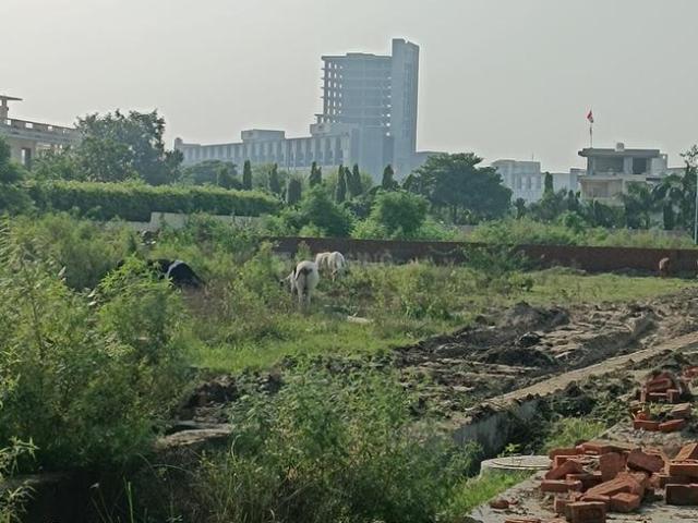 Residential Plot in Sector 27 for resale Greater Noida. The reference number is 16018988