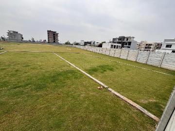 Sonipat, Sonipat District, Haryana State