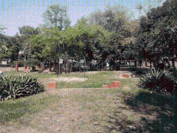 Residential Plot in Sector 25 YEIDA for resale Greater Noida. The reference number is 19923874