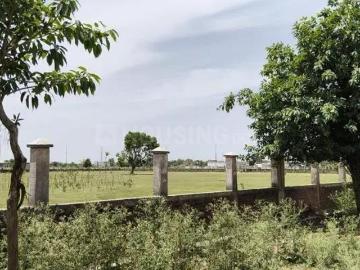 Residential Plot in Sector 25 YEIDA for resale Greater Noida. The reference number is 19978609