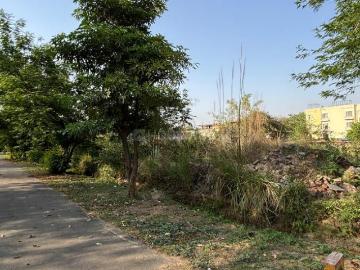 Salarpur Gautam Buddha Nagar, Gautam Buddha Nagar District, Delhi
