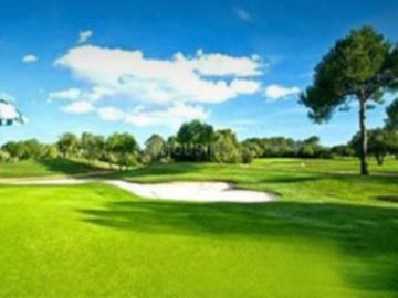 Residential Plot in Sector 25 YEIDA for resale Greater Noida. The reference number is 20090350