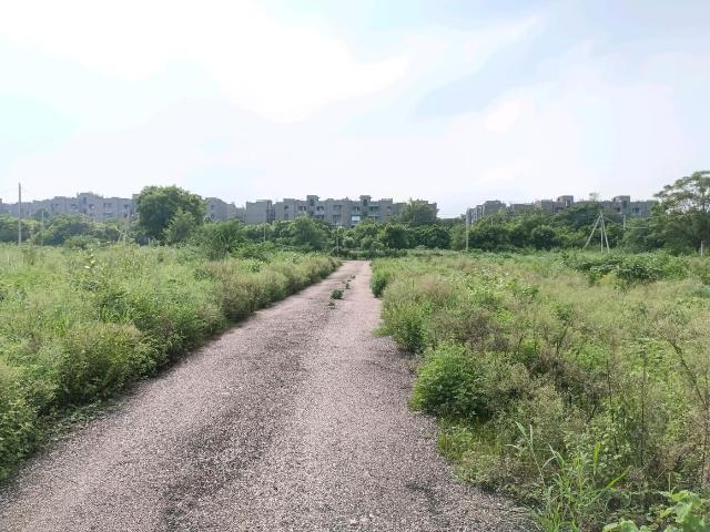Residential Plot in Sector 29 Rohini for resale New Delhi. The reference number is 17578717