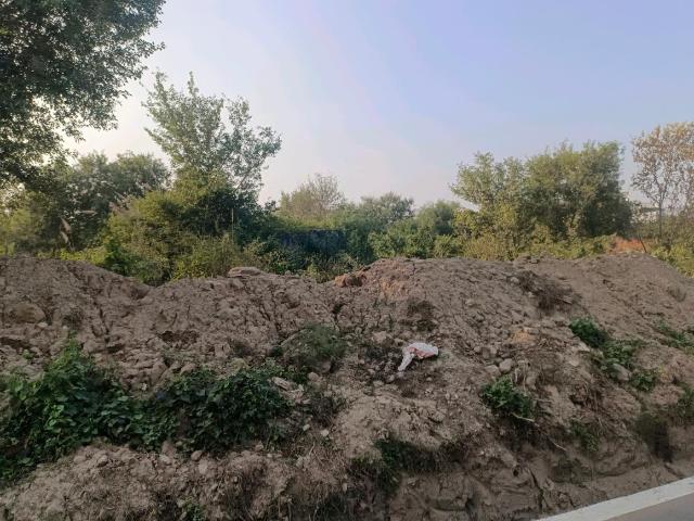 Residential Plot in Sector 29 Rohini for resale New Delhi. The reference number is 19268029