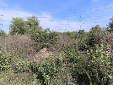 Residential Plot in Sector 29 Rohini for resale New Delhi. The reference number is 19368916