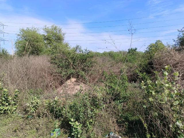 Residential Plot in Sector 29 Rohini for resale New Delhi. The reference number is 19368916