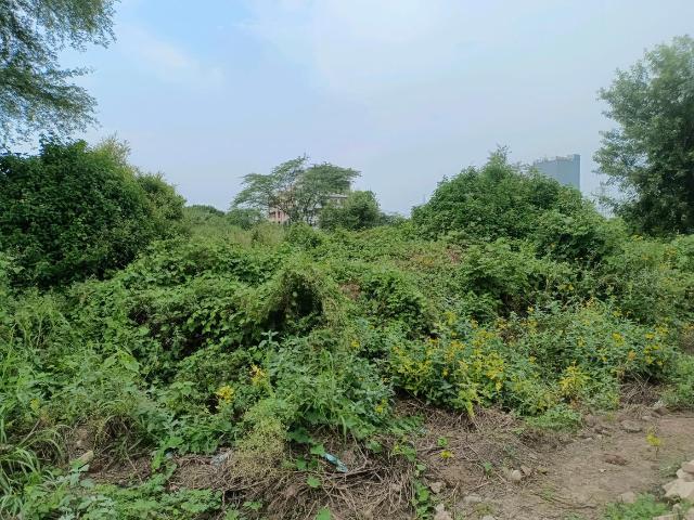 Residential Plot in Sector 29 Rohini for resale New Delhi. The reference number is 20481662