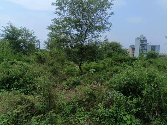 Residential Plot in Sector 29 Rohini for resale New Delhi. The reference number is 20481214