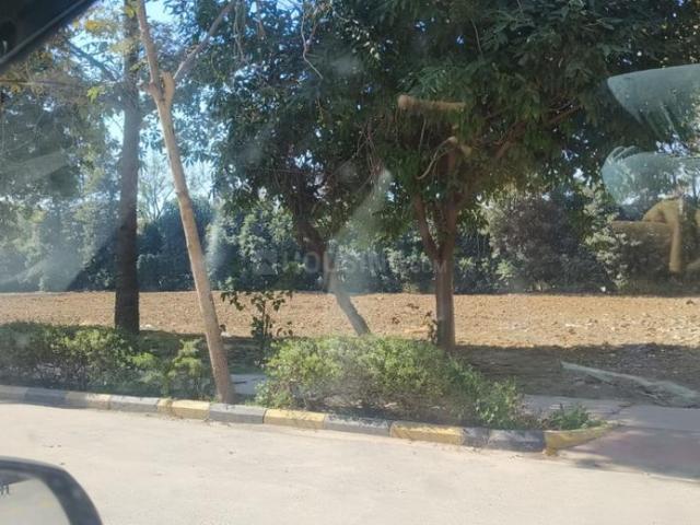 Residential Plot in Sector 33 for resale Sohna. The reference number is 16879645
