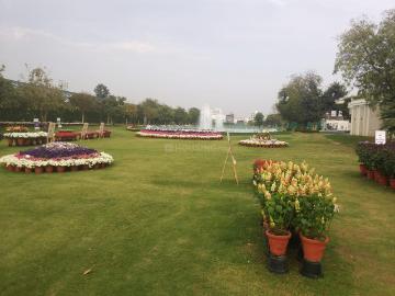 Residential Plot in Sector 33 for resale Sohna. The reference number is 18796898